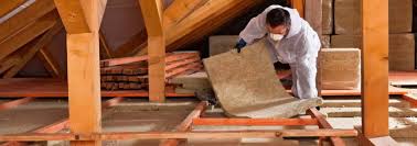 Best Insulation for New Construction  in Oldsmar, FL