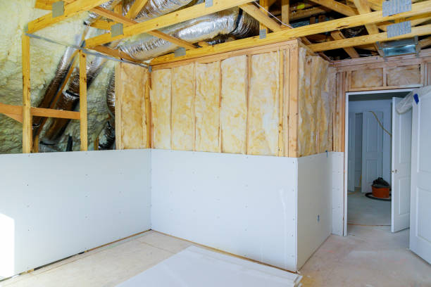 Best Wall Insulation Installation  in Oldsmar, FL