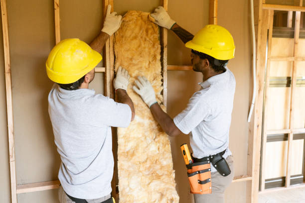 Best Insulation Air Sealing  in Oldsmar, FL