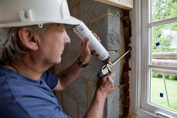 Best Blown-In Insulation  in Oldsmar, FL